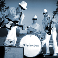The Barbwires